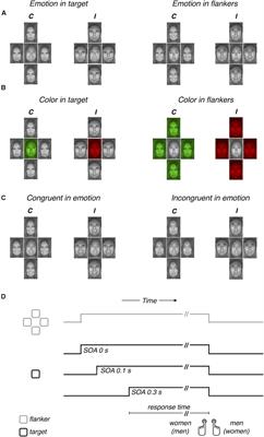 Prolonged Interruption of Cognitive Control of Conflict Processing Over Human Faces by Task-Irrelevant Emotion Expression